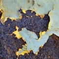 09 - Garofalo_20140621__104