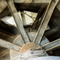 36 - Garofalo_20140621__410