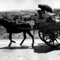 leone-giuseppe-7