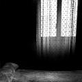 tani-giorgio_019