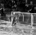 046_patane-nicola