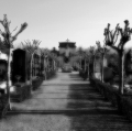 021_grassi-antonio_ricordi-immaginati