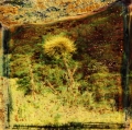 0005_manta-antonio_sicilia03