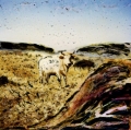 0018_manta-antonio_sicilia8
