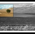 antonio-zimbone_il-paesaggio-nel-paesaggio-1