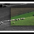 antonio-zimbone_il-paesaggio-nel-paesaggio-12