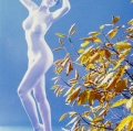 aris-moscatelli_il-filo-di-a-28