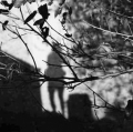 paglionico-cristina_ombre-3