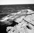 c10_natura-puerto-piramides