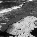 c11_natura-punta-norte