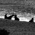 c12_natura-punta-norte