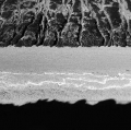 c16_natura-punta-norte