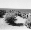 c17_natura-caletta-valdes