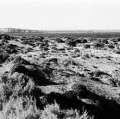 c18_natura-caletta-valdes