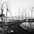 c3_natura-chapalco-pueblo-pescado