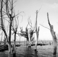 c4_natura-chapalco-pueblo-pescado