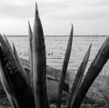 c5_natura-chapalco-pueblo-pescado