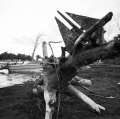 c6_natura-chapalco-pueblo-pescado