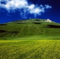 giuseppe-cannoni_il-colore-nel-paesaggio-14