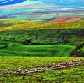 giuseppe-cannoni_il-colore-nel-paesaggio-15
