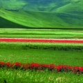 giuseppe-cannoni_il-colore-nel-paesaggio-17