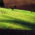 giuseppe-cannoni_il-colore-nel-paesaggio-18