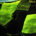 giuseppe-cannoni_il-colore-nel-paesaggio-19