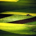 giuseppe-cannoni_il-colore-nel-paesaggio-20
