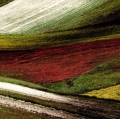 giuseppe-cannoni_il-colore-nel-paesaggio-21