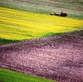 giuseppe-cannoni_il-colore-nel-paesaggio-22