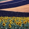 giuseppe-cannoni_il-colore-nel-paesaggio-25