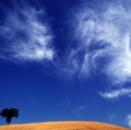giuseppe-cannoni_il-colore-nel-paesaggio-27