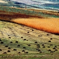 giuseppe-cannoni_il-colore-nel-paesaggio-28