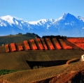 giuseppe-cannoni_il-colore-nel-paesaggio-32