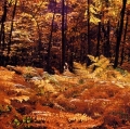 giuseppe-cannoni_il-colore-nel-paesaggio-33