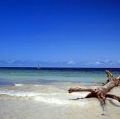 giuseppe-cannoni_il-colore-nel-paesaggio-6
