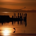 giuseppe-cannoni_il-colore-nel-paesaggio-7