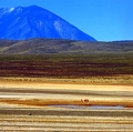 giuseppe-cannoni_il-colore-nel-paesaggio-9