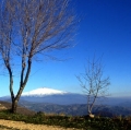 004_vista-da-troina-anno-2000