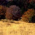 020_piano-provenzana_anno-2001