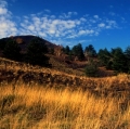 022_serre-delle-concazze_anno-2001