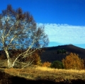 023_serre-delle-concazze_anno-2002