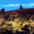 028_serre-delle-concazze_anno-2001