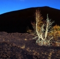 035_serre-delle-concazze_anno-1997