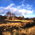 036_serre-delle-concazze_anno-1997