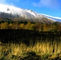 037_serre-delle-concazze_anno-1998
