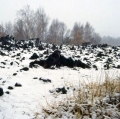 040_fiocchi-di-neve_anno-2001