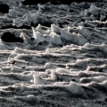 041_particolare_anno-2000