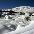 043_serre-delle-concazze_anno-1993