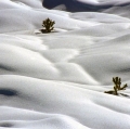 044_dune_anno-1993